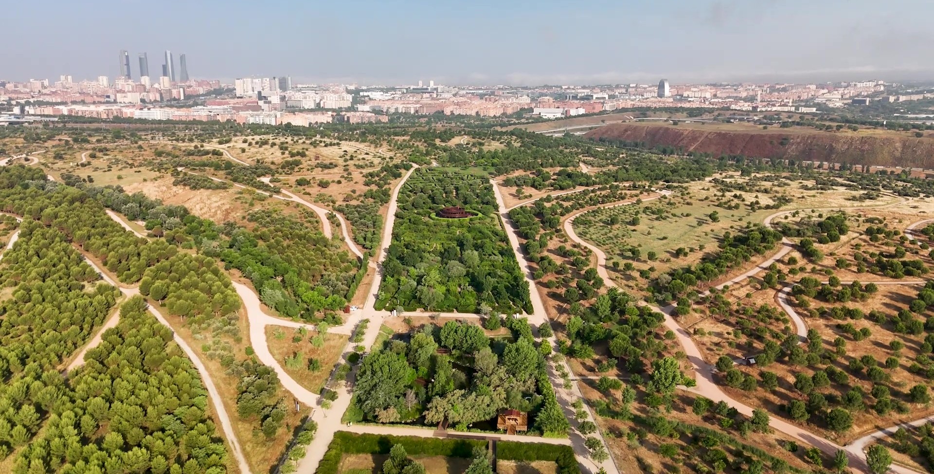 Foto Felipe VI. Tronco y Copa